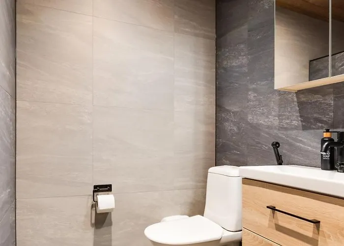 Levillenet Centre Levi